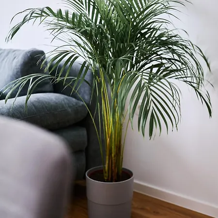 Apartamento Comfort Mozirje